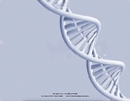中國科學院EDA中心